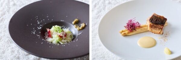 個室で桜を満喫できる!? ストリングスホテル 名古屋「個室でお花見プラン」実施