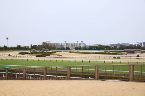 SNS映えするグルメも！　春の東京競馬場で食べたい。おすすめグルメ3選