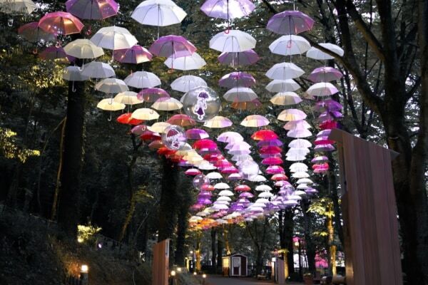 通るだけでワクワク！　ムーミンバレーパーク、『ムーミン谷の彗星』をテーマにした全長200ｍのアンブレラスカイ登場