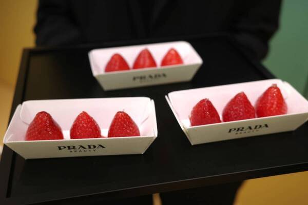春ギフト探しにおすすめ！　プラダ ビューティが表参道ヒルズで“マーケット”イメージの期間限定ポップアップ開催中