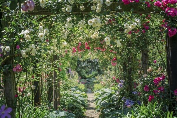 【GW＆週末おでかけ】熱海の絶景×約600種4,000株のバラが彩る！　「ACAO ROSE FESTA 2026」開催