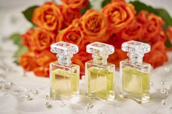 【GW＆週末おでかけ】熱海の絶景×約600種4,000株のバラが彩る！　「ACAO ROSE FESTA 2026」開催