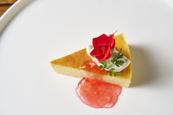 【GW＆週末おでかけ】熱海の絶景×約600種4,000株のバラが彩る！　「ACAO ROSE FESTA 2026」開催