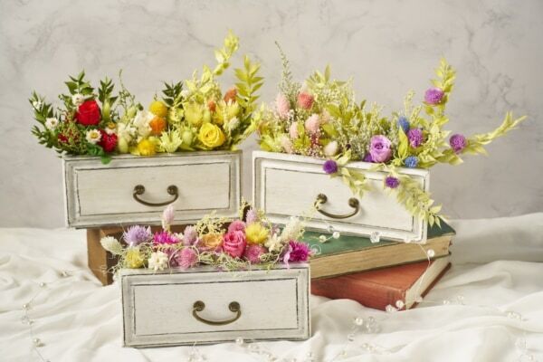 【GW＆週末おでかけ】熱海の絶景×約600種4,000株のバラが彩る！　「ACAO ROSE FESTA 2026」開催