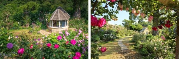 【GW＆週末おでかけ】熱海の絶景×約600種4,000株のバラが彩る！　「ACAO ROSE FESTA 2026」開催