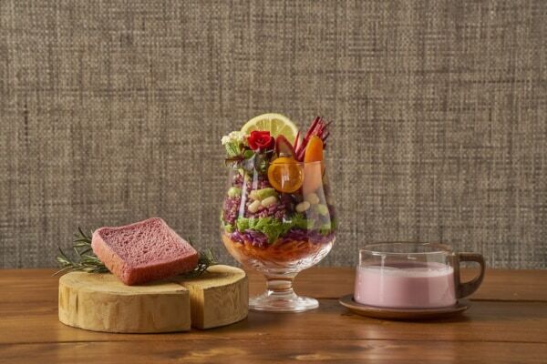 【GW＆週末おでかけ】熱海の絶景×約600種4,000株のバラが彩る！　「ACAO ROSE FESTA 2026」開催