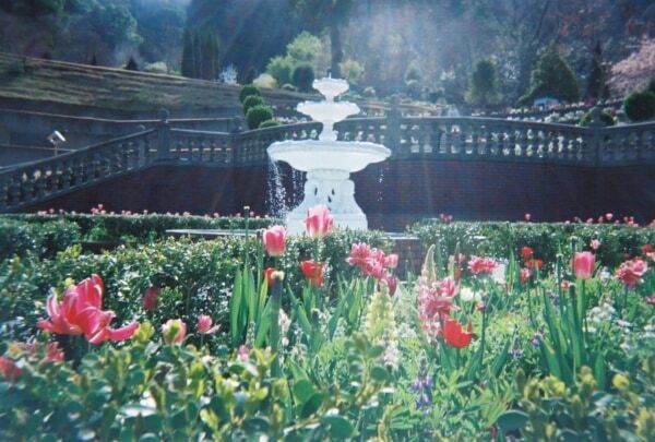 【GW＆週末おでかけ】熱海の絶景×約600種4,000株のバラが彩る！　「ACAO ROSE FESTA 2026」開催