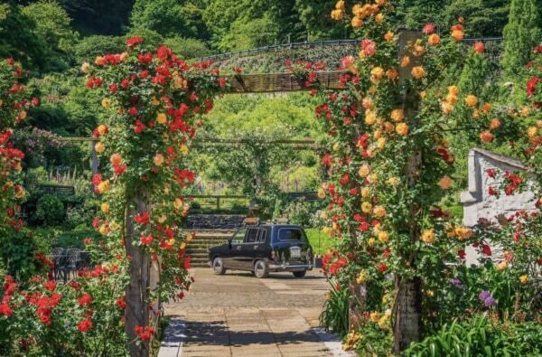 【GW＆週末おでかけ】熱海の絶景×約600種4,000株のバラが彩る！　「ACAO ROSE FESTA 2026」開催