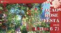 【GW＆週末おでかけ】熱海の絶景×約600種4,000株のバラが彩る！　「ACAO ROSE FESTA 2026」開催