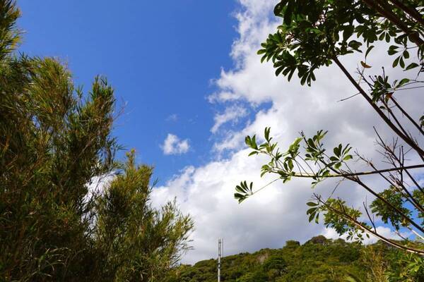 島の風と海に癒やされて。東京から55分の八丈島が働く女子のリフレッシュ旅におすすめだった