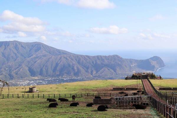 島の風と海に癒やされて。東京から55分の八丈島が働く女子のリフレッシュ旅におすすめだった
