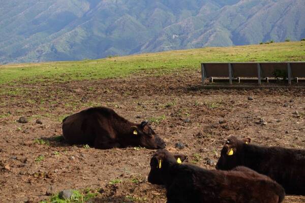 島の風と海に癒やされて。東京から55分の八丈島が働く女子のリフレッシュ旅におすすめだった