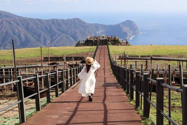 島の風と海に癒やされて。東京から55分の八丈島が働く女子のリフレッシュ旅におすすめだった