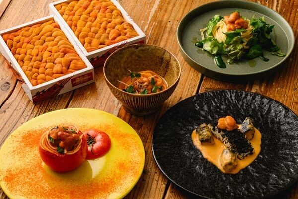 ウニの概念を更新!?　六本木イタリアンバル「uni Seafood」に新コース『革命の4色雲丹パスタ』が誕生