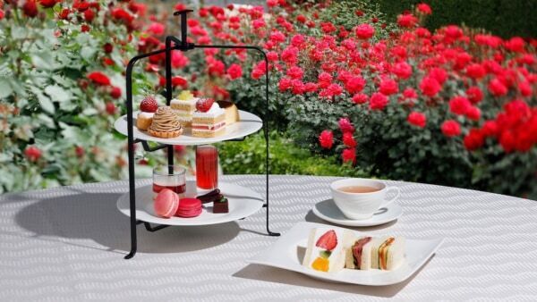 【ホテルニューオータニ】GWの都内おでかけに！　3万輪の赤薔薇が咲く秘密の庭園「Red Rose Garden」を限定公開