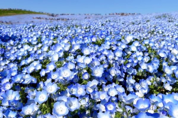 GW最大12連休、どこ行く？　海外穴場コスパ・国内お得周遊旅ランキングを紹介！