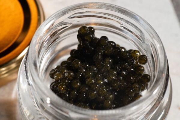 【長野】お土産キャビア付き!?　チョウザメの魅力と南信州の恵みに出会う、「星降りの宿やま星」の美食体験