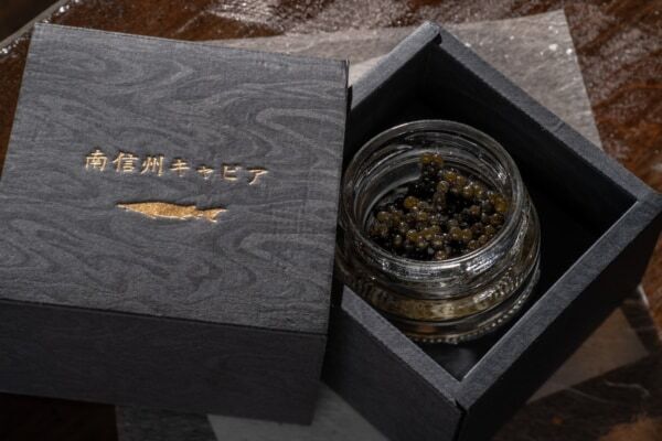 【長野】お土産キャビア付き!?　チョウザメの魅力と南信州の恵みに出会う、「星降りの宿やま星」の美食体験