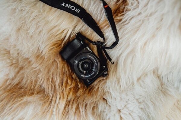 今、人気のカメラメーカーはどこ？　リアルな声をランキングで紹介【アンケート調査】