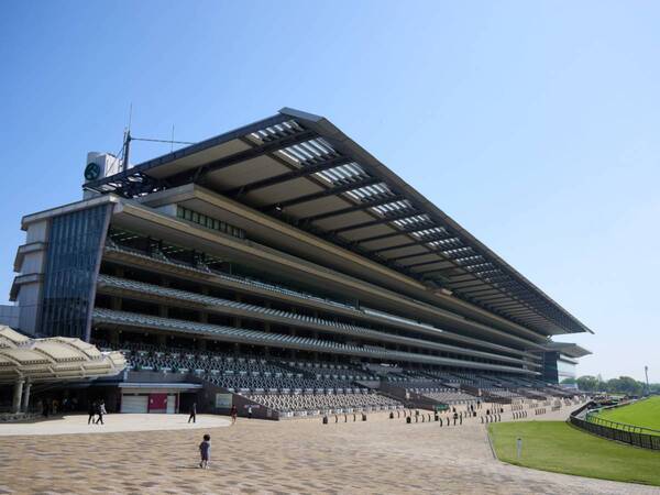 週末ウマ活、はじめます。アラサー女子が初めての競馬場で見つけた“馬の魅力”