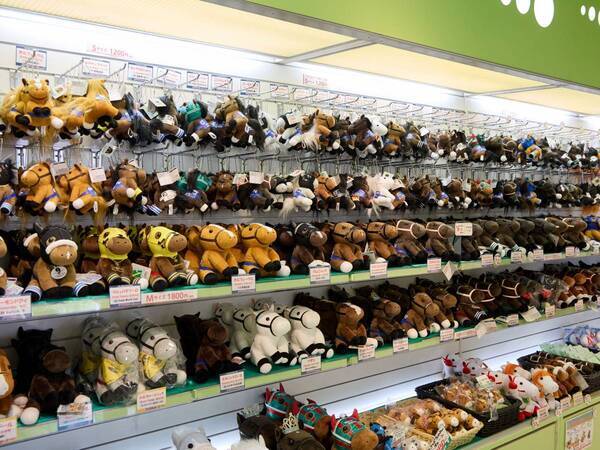 週末ウマ活、はじめます。アラサー女子が初めての競馬場で見つけた“馬の魅力”