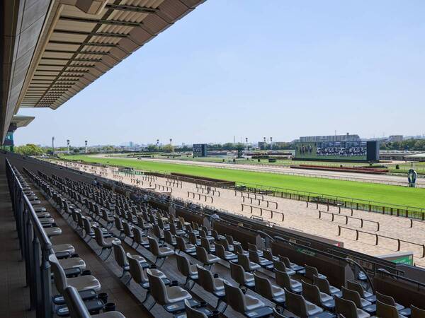週末ウマ活、はじめます。アラサー女子が初めての競馬場で見つけた“馬の魅力”