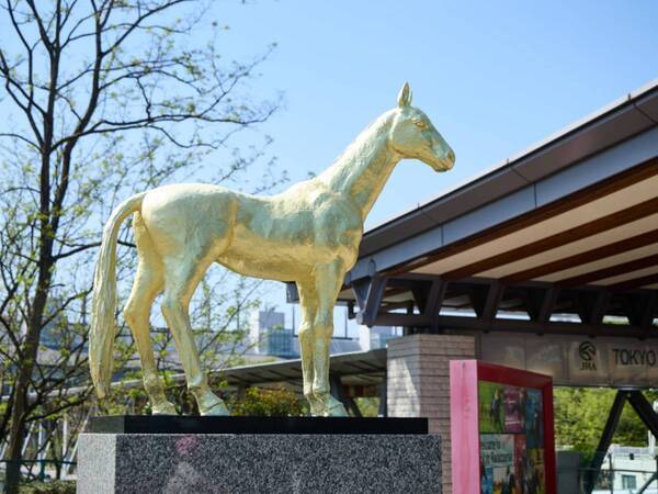 週末ウマ活、はじめます。アラサー女子が初めての競馬場で見つけた“馬の魅力”
