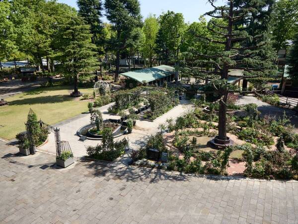 週末ウマ活、はじめます。アラサー女子が初めての競馬場で見つけた“馬の魅力”