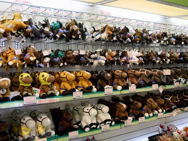 春は東京競馬場を楽しみつくす！　グルメ、グッズ購入、馬とのふれあい……“レースだけじゃない”楽しみ方