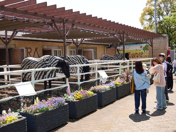 春は東京競馬場を楽しみつくす！　グルメ、グッズ購入、馬とのふれあい……“レースだけじゃない”楽しみ方