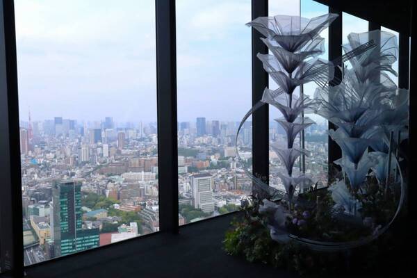 SHIBUYA SKYで天空の花畑をお散歩！　アートフラワーと空が溶け合う没入イベント開催中