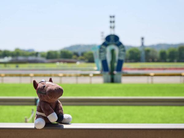 推し馬の“栄光の瞬間”を再現！　お気に入りのぬいぐるみと巡る、東京競馬場「映えスポット」ガイド
