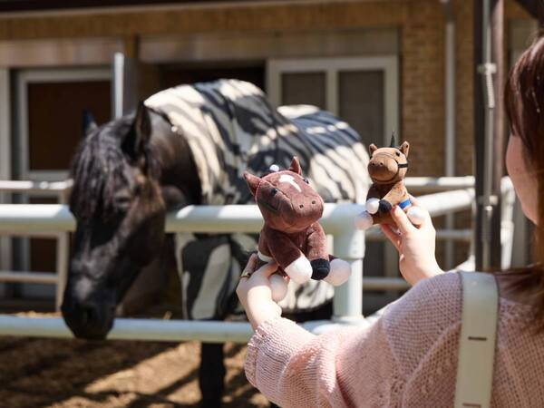 推し馬の“栄光の瞬間”を再現！　お気に入りのぬいぐるみと巡る、東京競馬場「映えスポット」ガイド