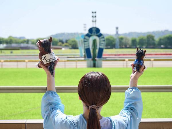 推し馬の“栄光の瞬間”を再現！　お気に入りのぬいぐるみと巡る、東京競馬場「映えスポット」ガイド