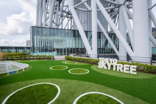 ついに開放！　スカイツリーを真下から見る芝生空間『LOOK UP CAFE TOKYO SKYTREE』