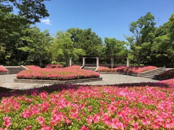 滋賀県営びわこ文化公園に、県内“初”の「パンとエスプレッソと」がオープン！