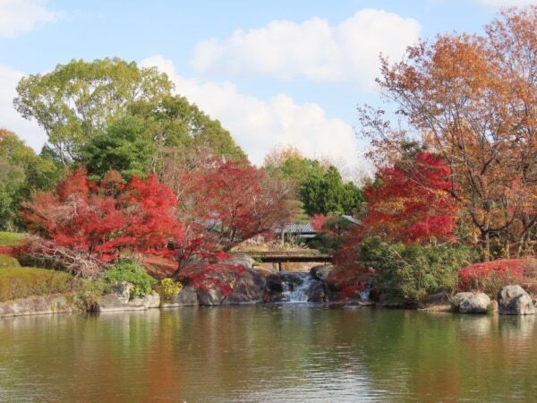 滋賀県営びわこ文化公園に、県内“初”の「パンとエスプレッソと」がオープン！