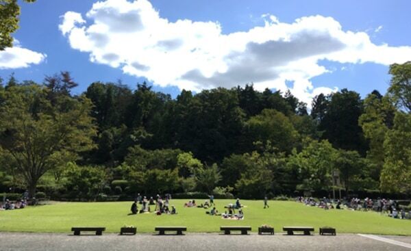 滋賀県営びわこ文化公園に、県内“初”の「パンとエスプレッソと」がオープン！