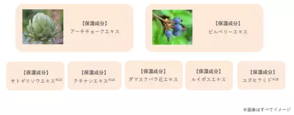ベスコス多数受賞、オルビス「ザ クレンジング オイル」に持ち運びできるトライアルサイズが登場