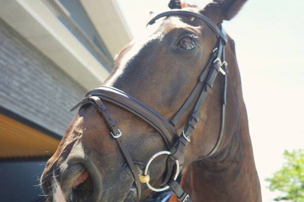 無料で入れる都会のオアシス!?　ウマ活＆グルメを楽しめる馬事公苑に行ってきた