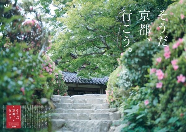 「そうだ 京都、行こう。」キャンペーン、夏の京都旅情報を一挙公開！　蓮で彩られる青蓮院門跡夜間特別ライトアップに注目