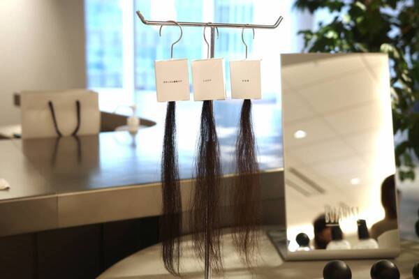 「シャンプーって使い始めの感動が薄れてくる」その理由は“内部バリア”にあった!?　「Amprem」でシャントリ迷子を卒業！