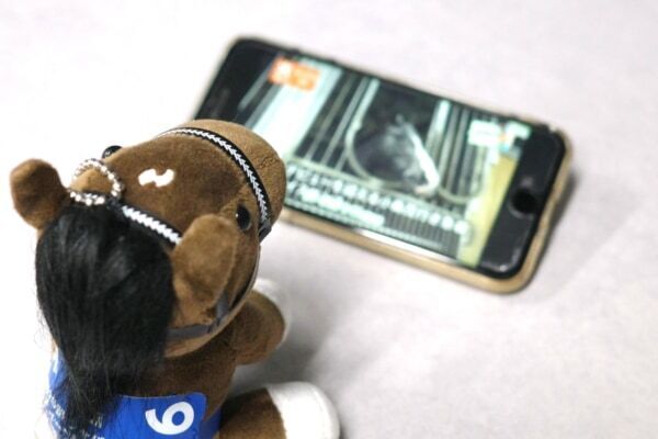 おうちでも“ウマ活”できちゃう!?　おすすめ動画コンテンツ3選
