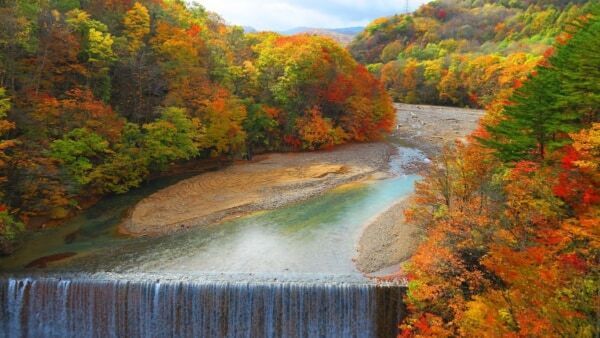 【2026年穴場紅葉ランキングTOP30】1位は群馬県の黄金に染まる湿原!?　旅行アプリ「NEWT」が全国1,741自治体を徹底調査