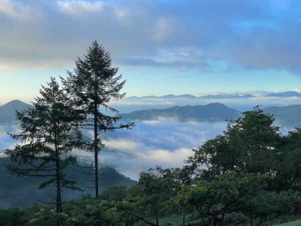 【2026年穴場紅葉ランキングTOP30】1位は群馬県の黄金に染まる湿原!?　旅行アプリ「NEWT」が全国1,741自治体を徹底調査
