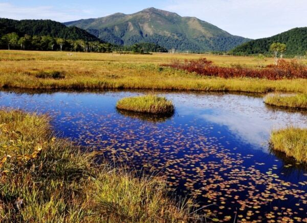 【2026年穴場紅葉ランキングTOP30】1位は群馬県の黄金に染まる湿原!?　旅行アプリ「NEWT」が全国1,741自治体を徹底調査