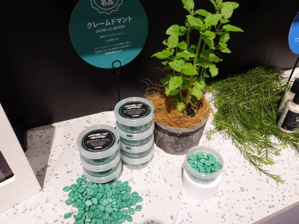 【2026ホリデー】LUSHの冬限定アイテム＆隠れた名品で贈る「やさしい冬ギフト」