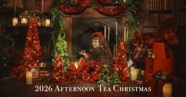Afternoon Tea LIVINGのクリスマスツリーが2026年もかわいすぎる！　昨年即完売のグリーンが今年も登場