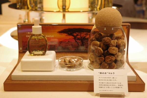 通販中心だった美容オイルの「ヴァーチェ」が初の常設店をオープン。その理由とは？