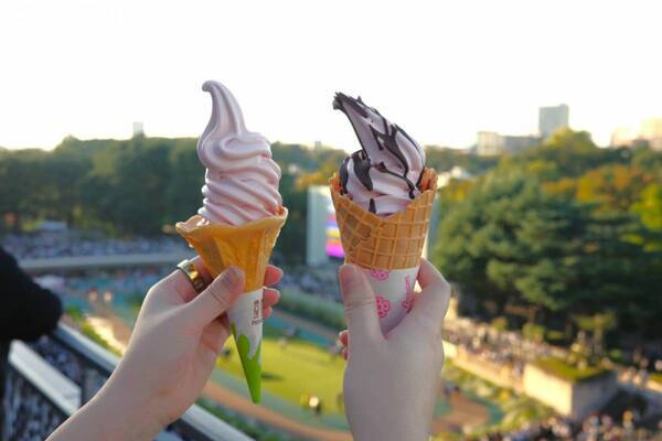 【グルメ・お酒・レース観戦も！】初心者でも楽しめる！　秋の東京競馬観戦レポート